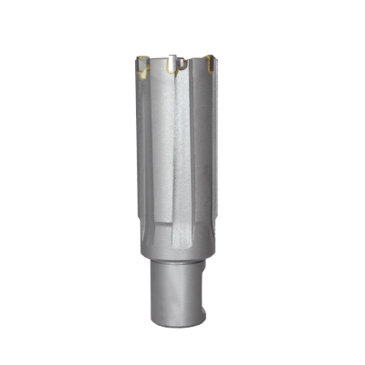 TCT Rail Cutter